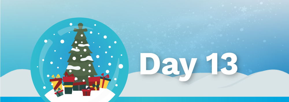 BONUS 13th Day of Christmas | ACH Transaction Reports