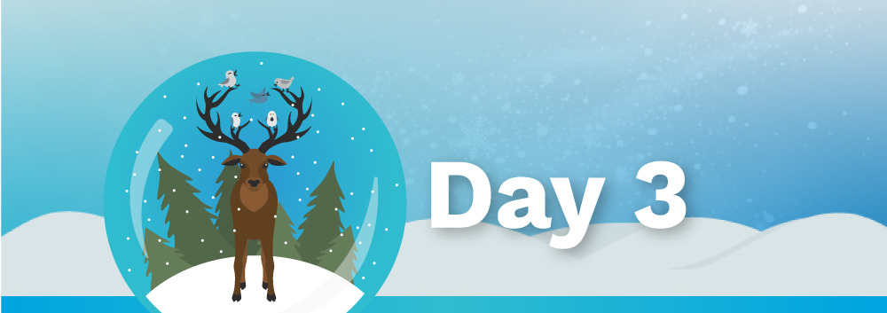day 3 gift cards