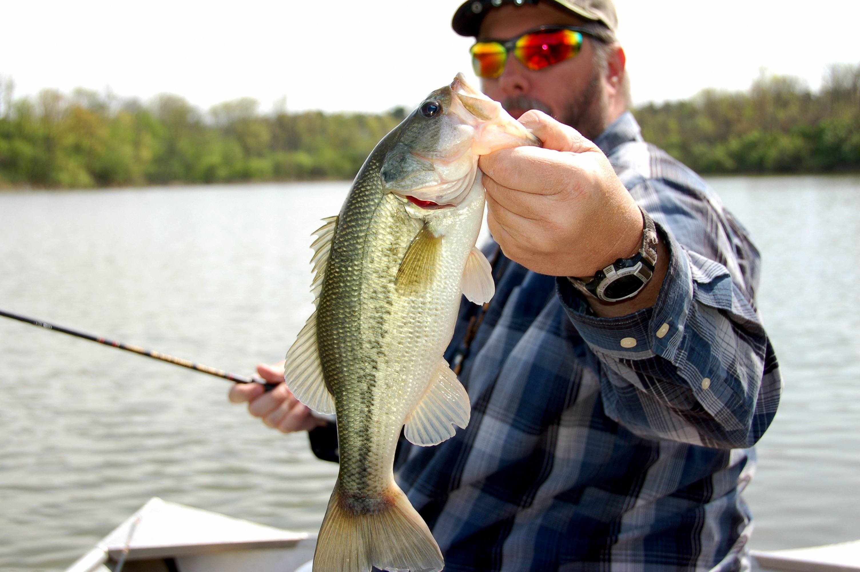 Bass Fishing on Kissimmee