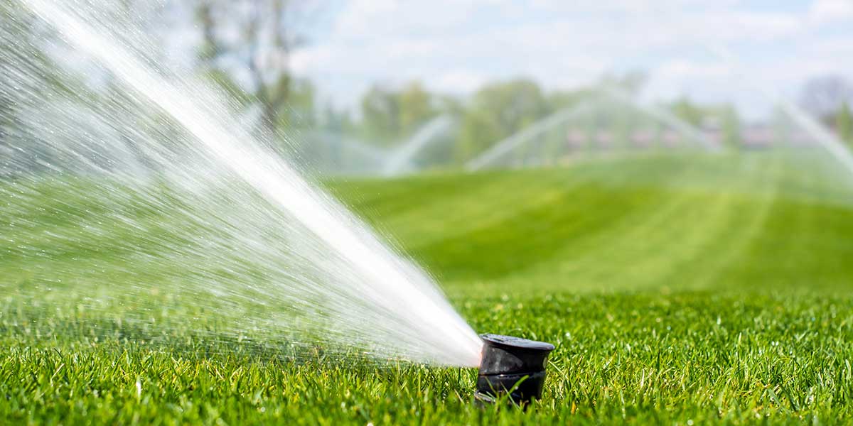 maintaining golf courses