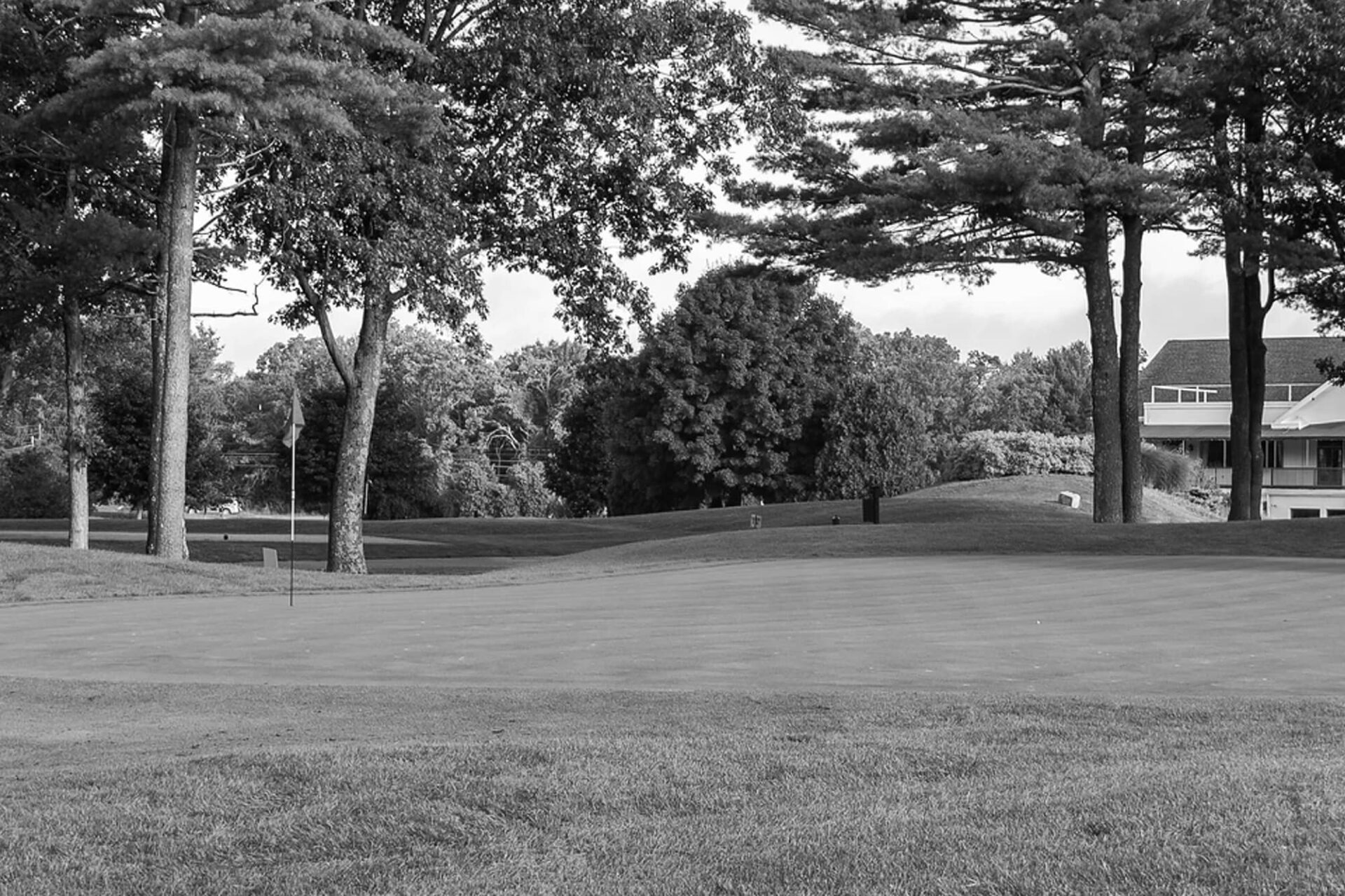 Black Swan Country Club testimonial
