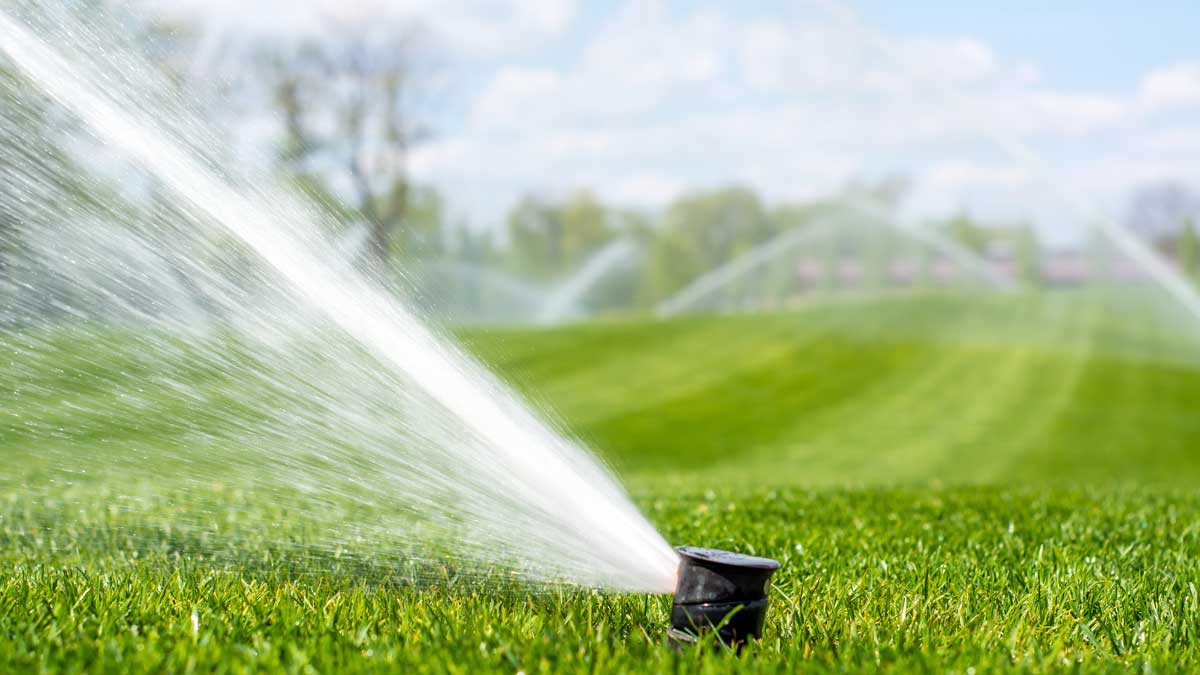 3 Strategies to Reduce Summer Maintenance Costs