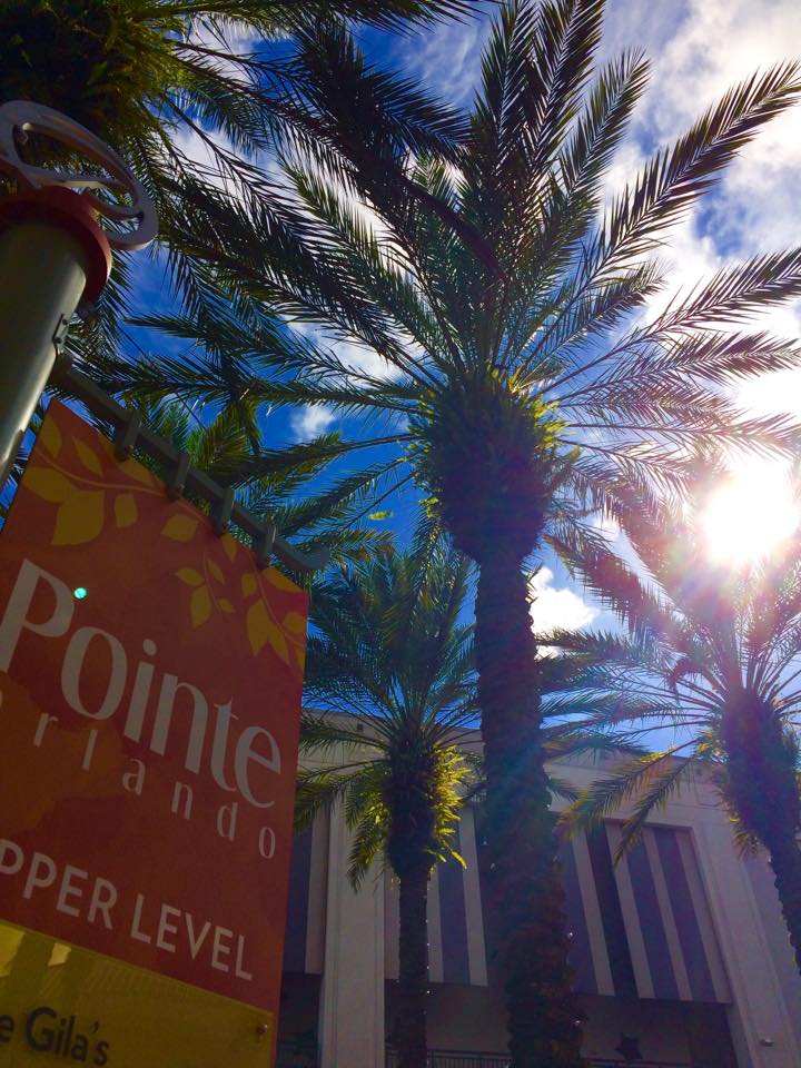 The Pointe in Orlando The Pointe in Orlando